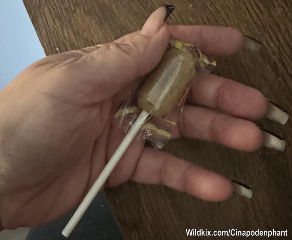 Glöm inte min shop här på Wildkix 😈
2 min uppe med klubba och pussy 👅