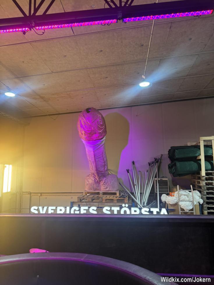 Sveriges största kuk